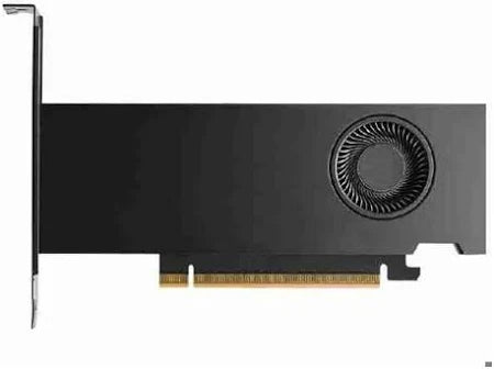 NVIDIA RTX PRO 2000 BLACKWELL, 16GB GDDR7, 70W, PCIE5X8, mDP2.1G(4), 2SL
